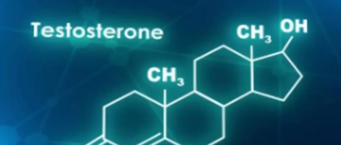 La hormona de la testosterona