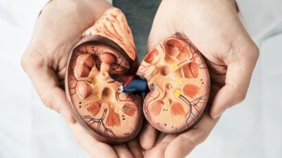 enfermedades renales