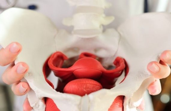 perineo del hombre CUC