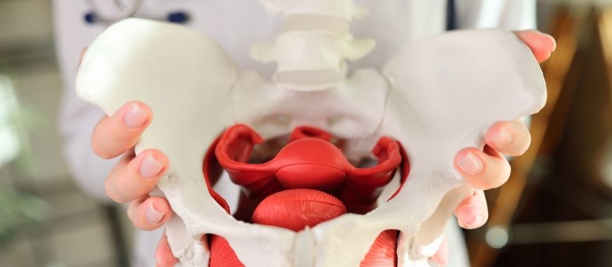 perineo del hombre CUC