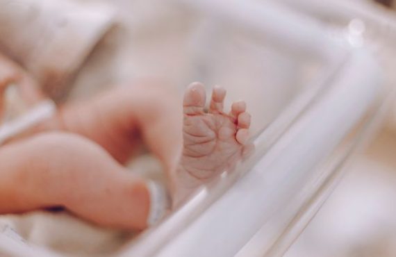 Hipospadias en bebés